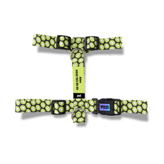 Kiwi | Dog Harness