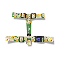 Pistachio | Dog Harness
