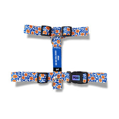 Tango | Dog Harness