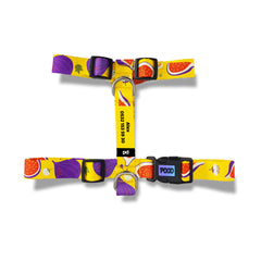 Fig | Dog Harness