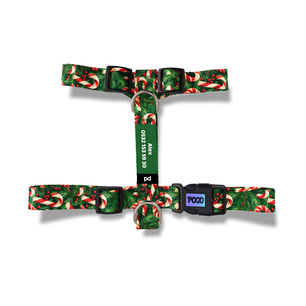 Santa's Candy | Dog Harness