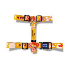 Vale Orange | Dog Harness