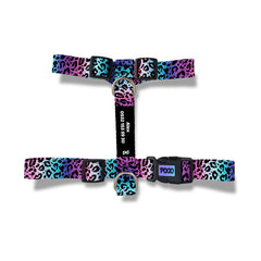 Aurora | Köpek Göğüs Tasması - Evcil hayvanlar için mükemmel bir ürün.