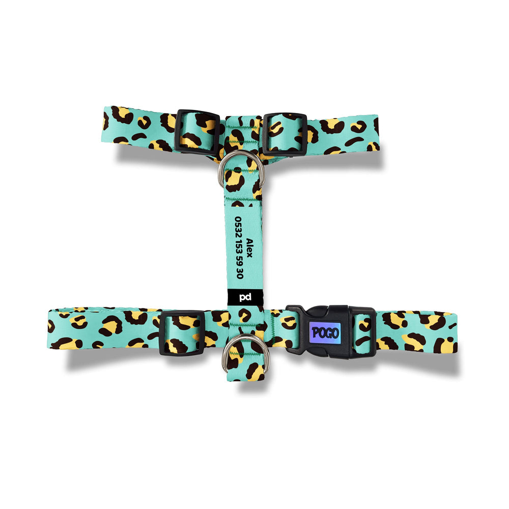 Expanse | Köpek Göğüs Tasması - Evcil hayvanlar için mükemmel bir ürün.