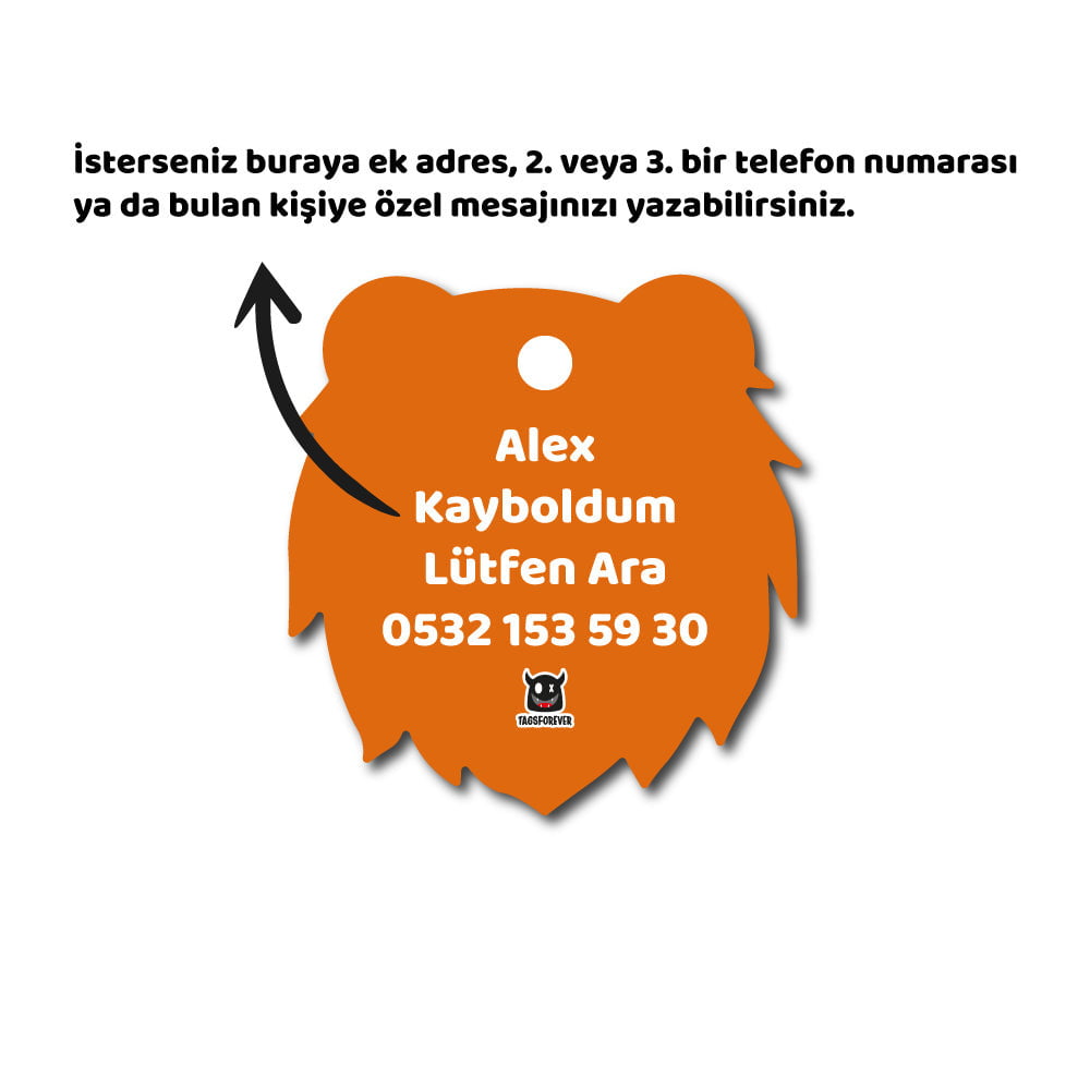 Aslan Emoji | Kedi ve Köpek İsimlik