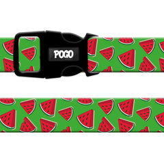 Watermelon | Dog Collar