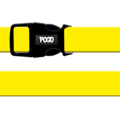 Yellow | Dog Collar