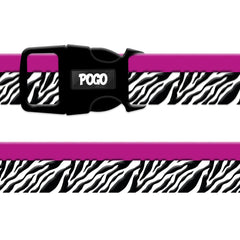 Zebra | Dog Collar
