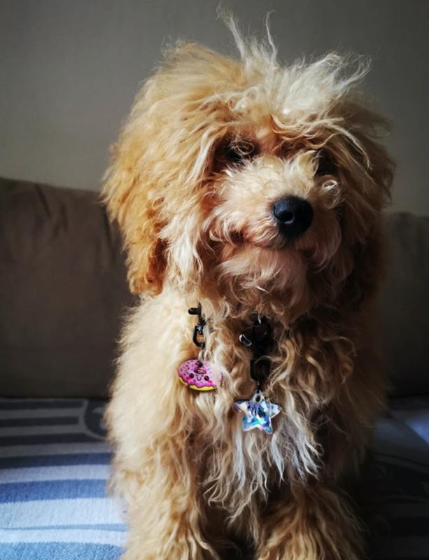 Donut TF TagsForever