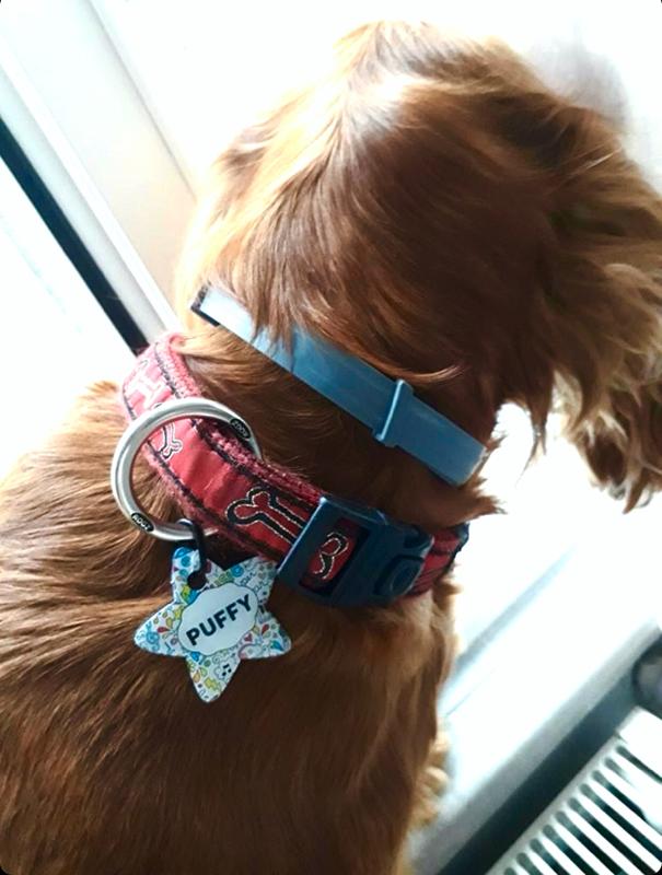 Müzik Doodle Desenli Yıldız TFX TagsForever