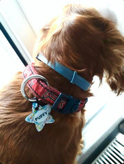 Müzik Doodle Desenli Yıldız TFX TagsForever