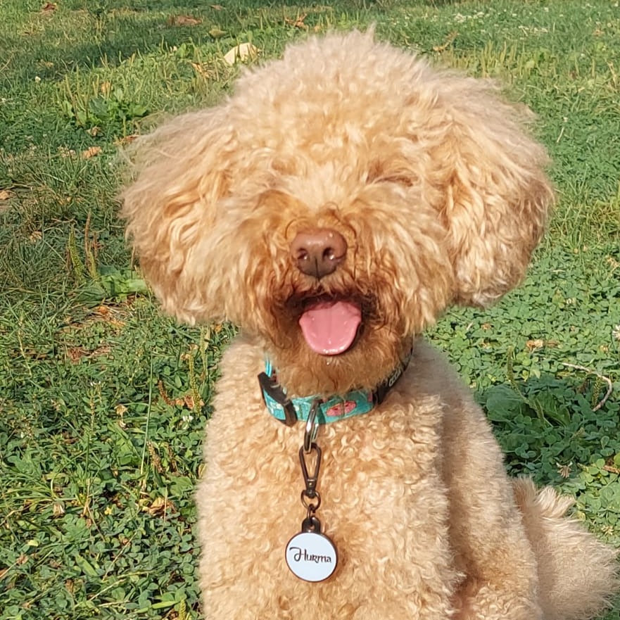 Lumi Yuvarlak Fosforlu | İsimlik