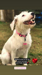 Flamingo Desenli Kemik TFX TagsForever