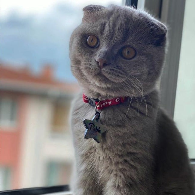 Gri Hologram Yuvarlak TFX TagsForever