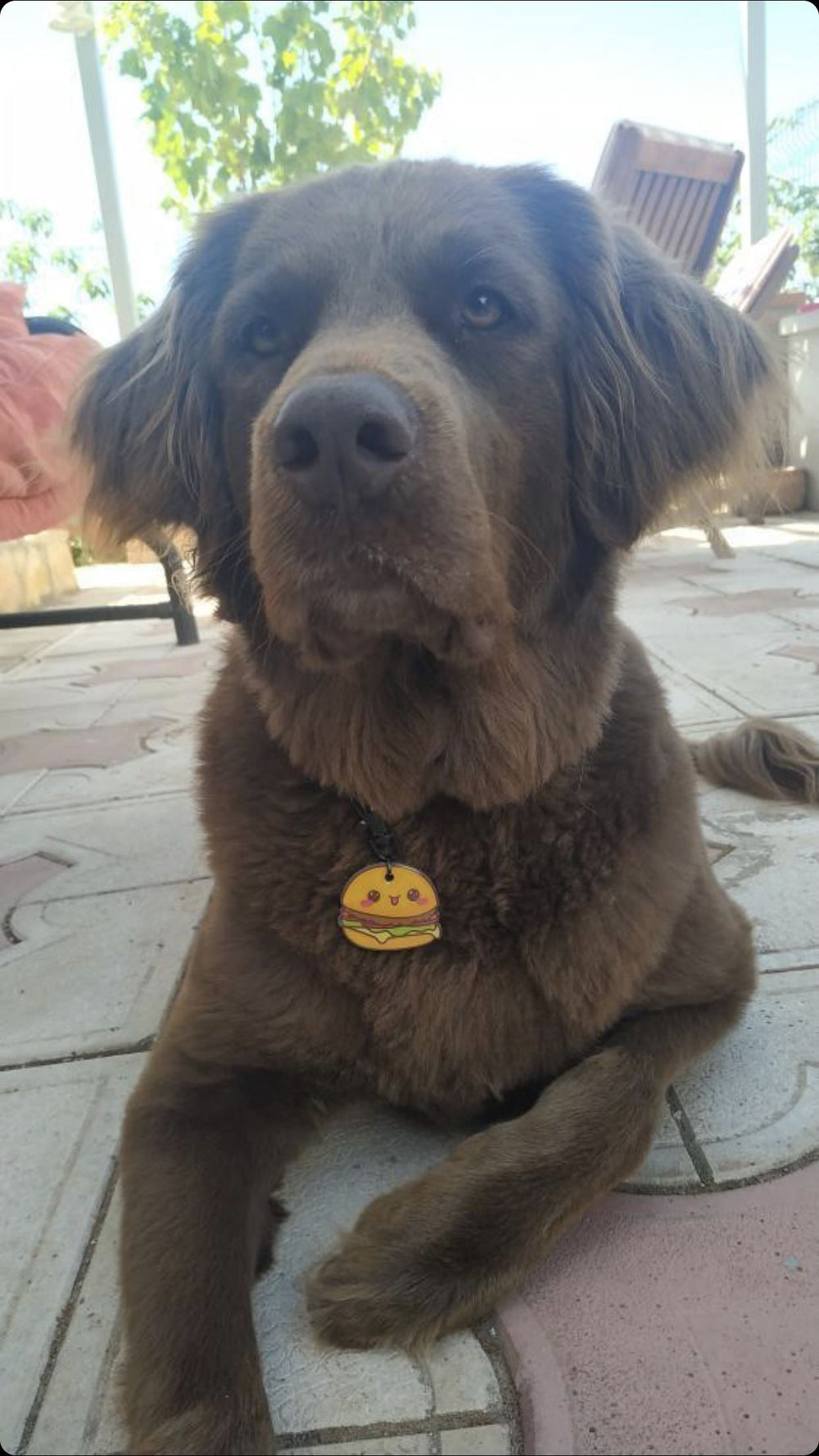 Hamburger TF TagsForever