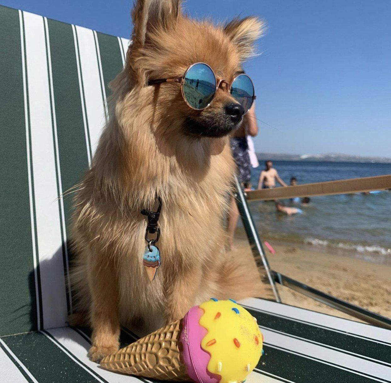 Külahta Mavi Dondurma TF TagsForever