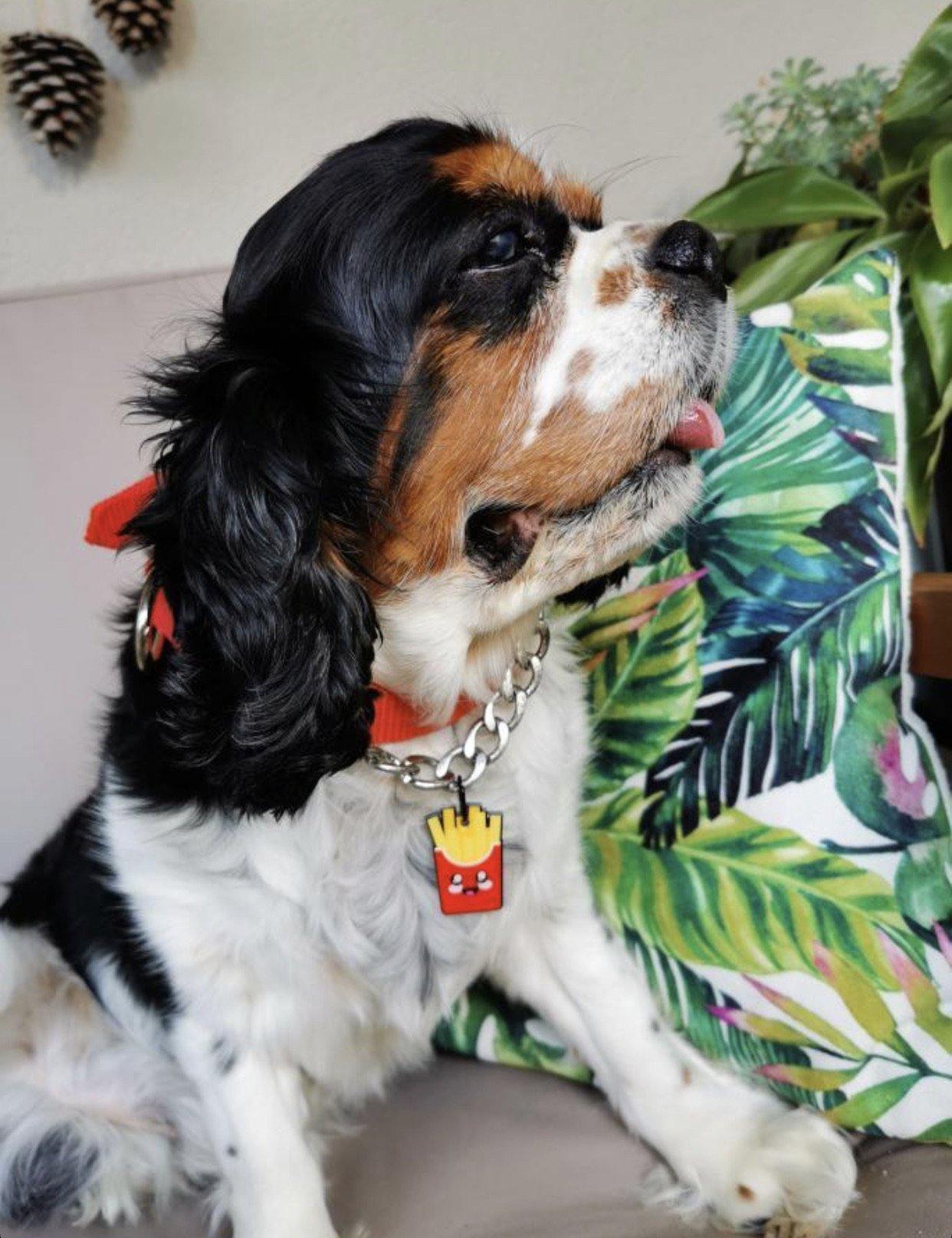 French Fries TF TagsForever