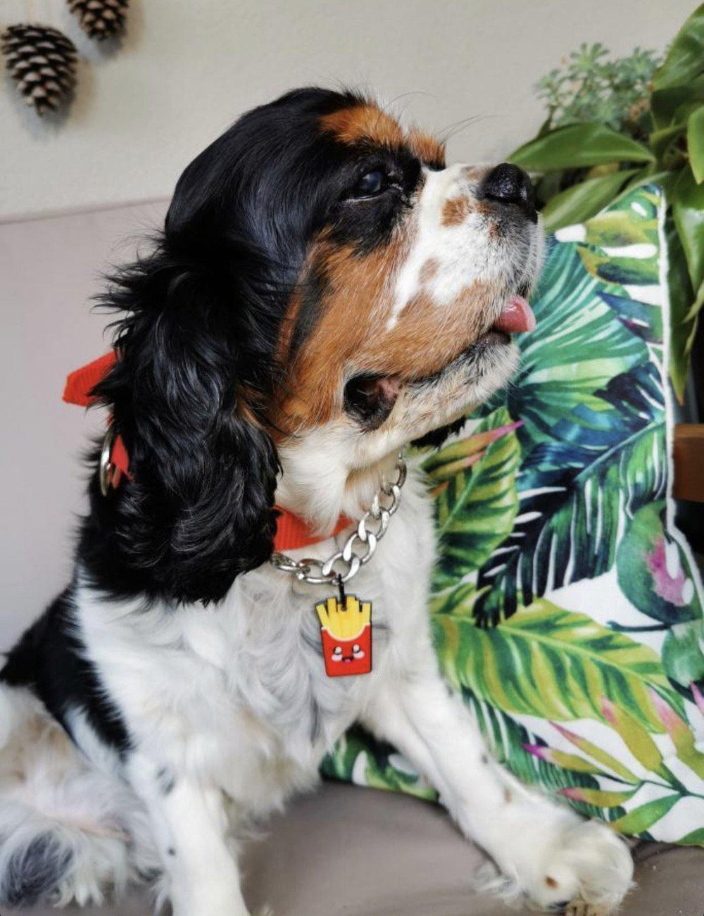 French Fries TF TagsForever