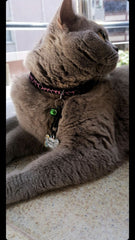 Müzik Doodle Desenli Kemik TFX TagsForever