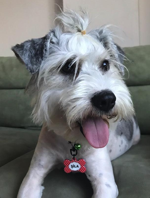 Kırmızı Yıldız Desenli Kemik TFX TagsForever