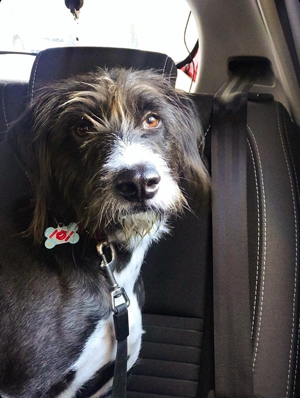 C'mon Kiss Me Kemik TF TagsForever