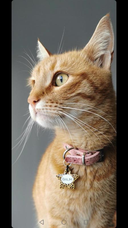 Leopar Desenli Yıldız TFX TagsForever