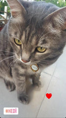 Leopar Desenli Yuvarlak TFX TagsForever