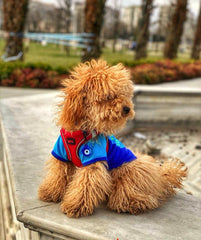 Mavi Nazar Boncuğu TF TagsForever