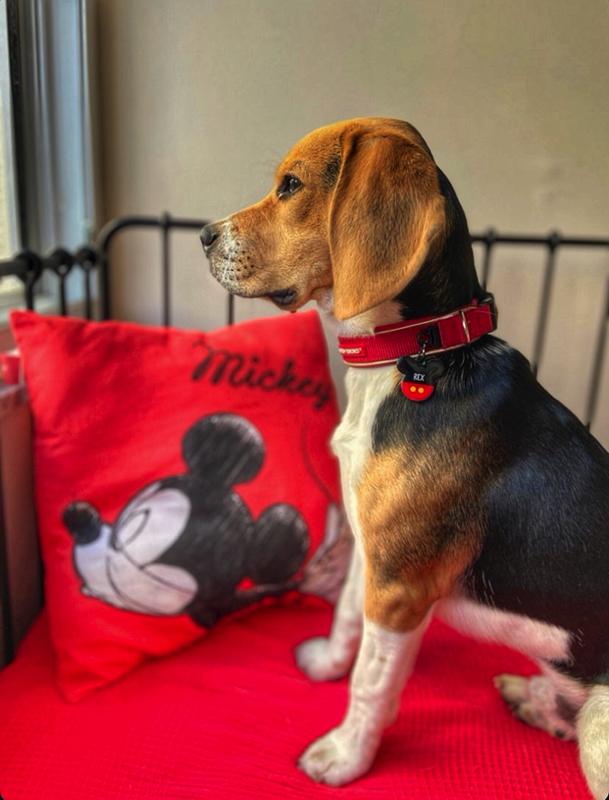 Mickey TF TagsForever