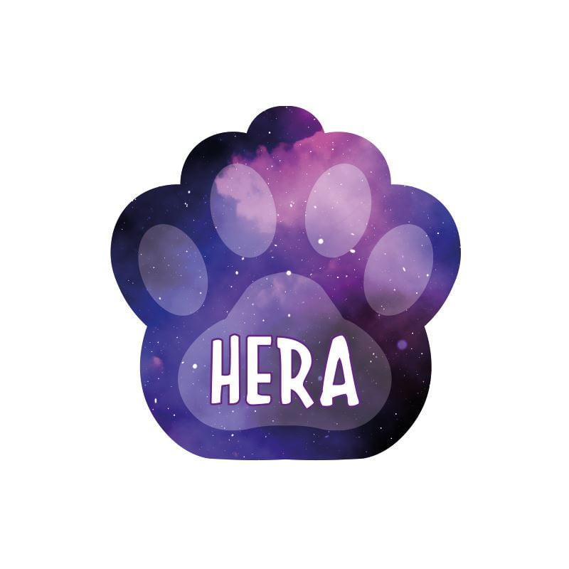 Mor Uzay Desenli Pati pati TagsForever