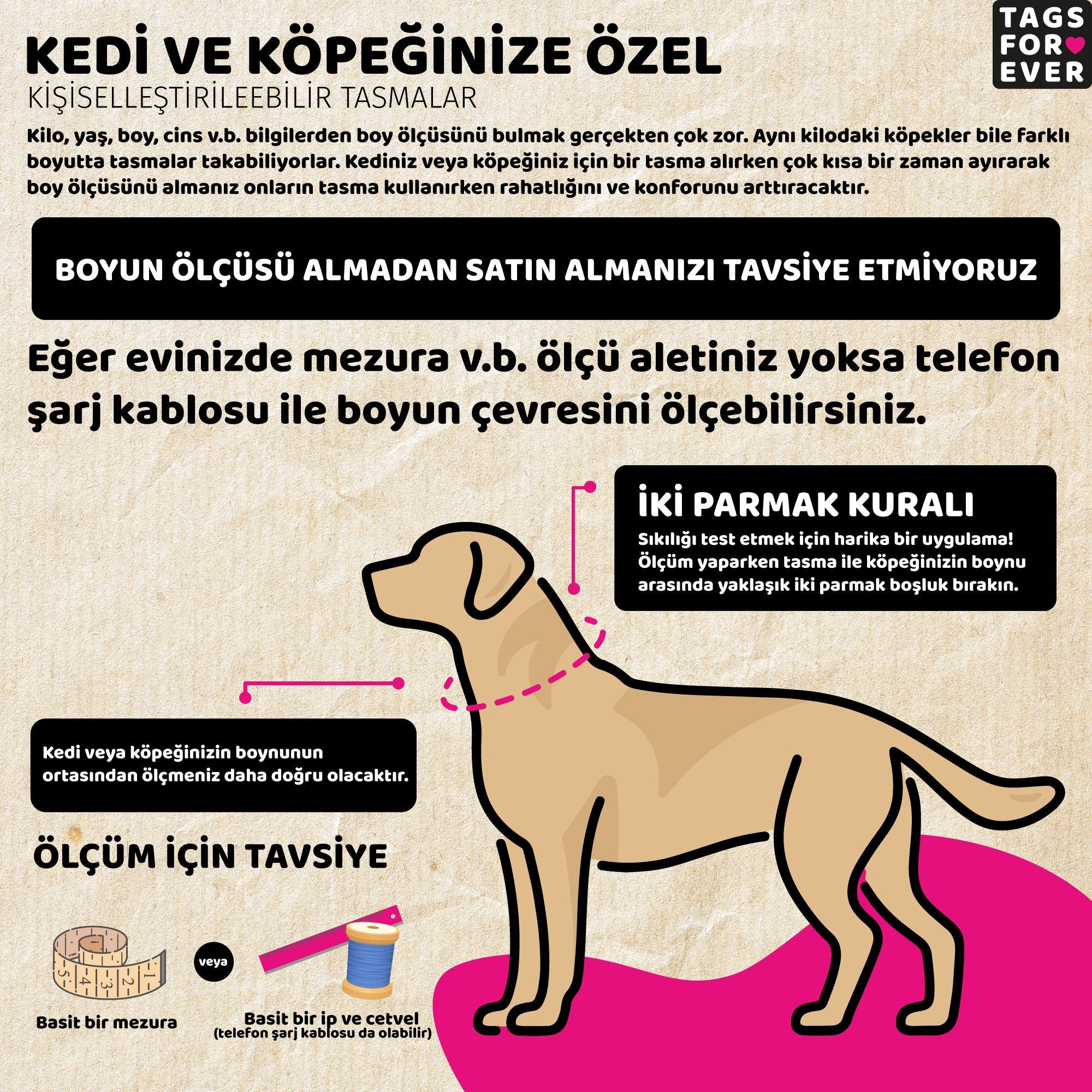 Alertex | Dog Collar